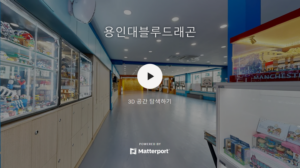 용인대블루드래곤 용인대블루드래곤태권도 익산태권도 영등동태권도 
