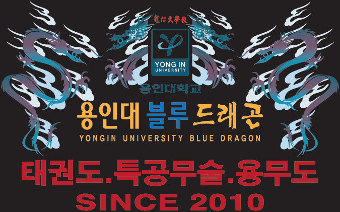 용인대블루드래곤, 익산태권도, 영등동태권도