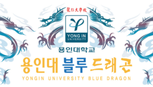 용인대블루드래곤 용인대블루드래곤태권도 익산태권도 영등동태권도 